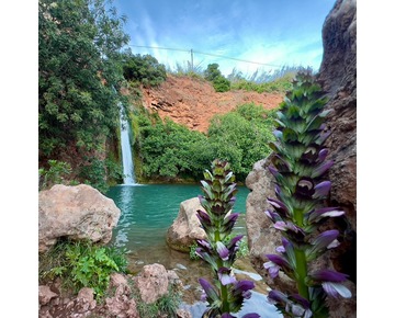 ‘Águas d’Alte’ on October 26