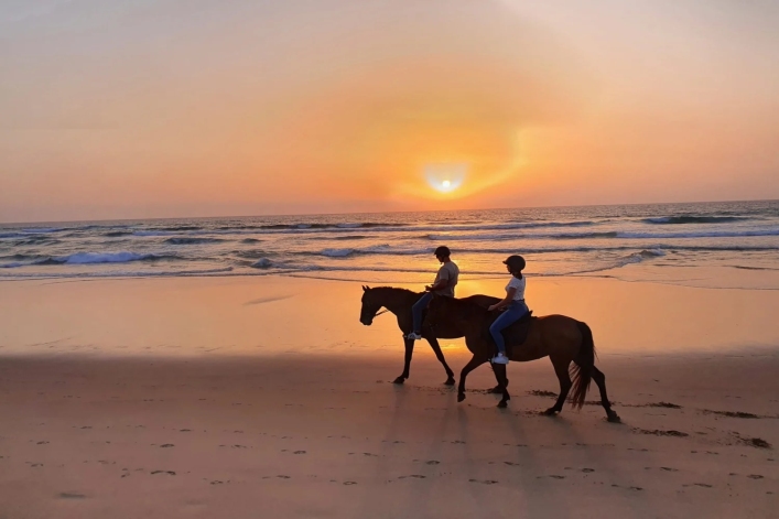 Balades à Cheval sur la Costa Vicentina